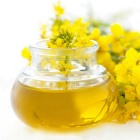 Expeller Pressed Canola Oil