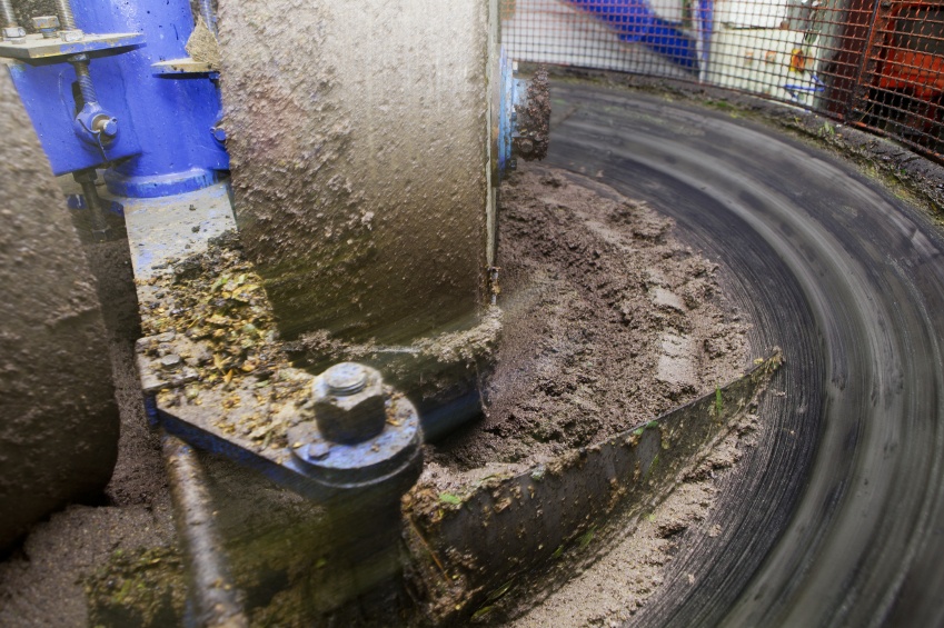 Olive Production Grinding Paste