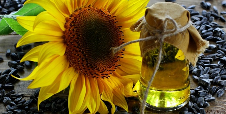 Sunflower Oil for Food Manufacturers