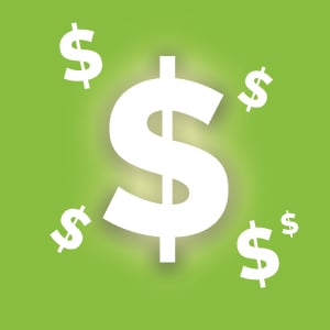 Bulk Olive Oil Prices