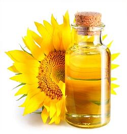 High Oleic Sunflower Oil