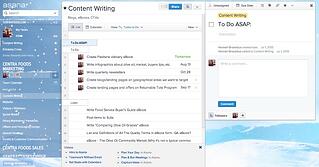 Asana Screen Shot - Purchasing Goal Setting