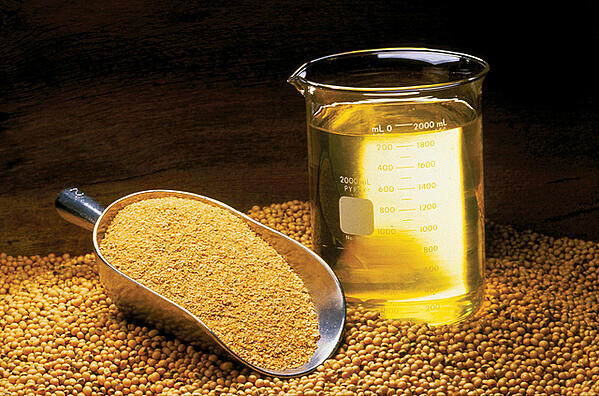 Food Manufacturing Sourcing | Organic Soybean Oil