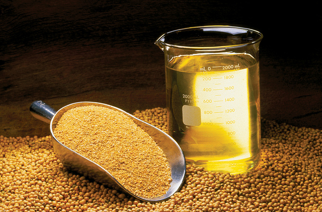 Organic Soybean Oil Pricing