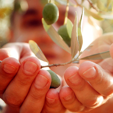 EVOO-health-benefits
