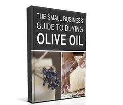 Small-Business-Guide-Graphic
