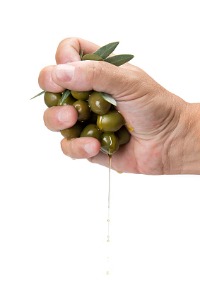 Hand squeezing olives