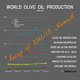 The Olive Oil Harvest: A 2014 Commodity Market Update