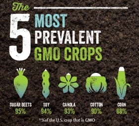 The Non-GMO Movement and It’s Affect On Bulk Oils