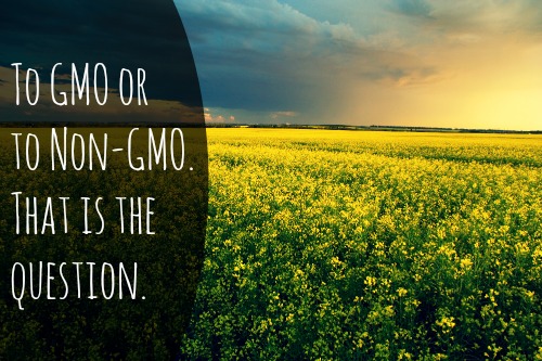 The Non-GMO Movement and It’s Affect On Bulk Oils