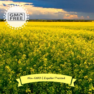 Non-GMO Expeller Pressed Canola Oil Exists