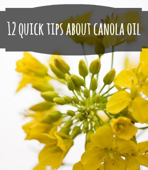 12 Quick Tips About Canola Oil For Manufacturing