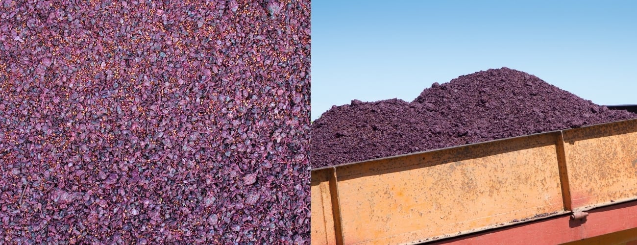 Pomace from Grapes Example
