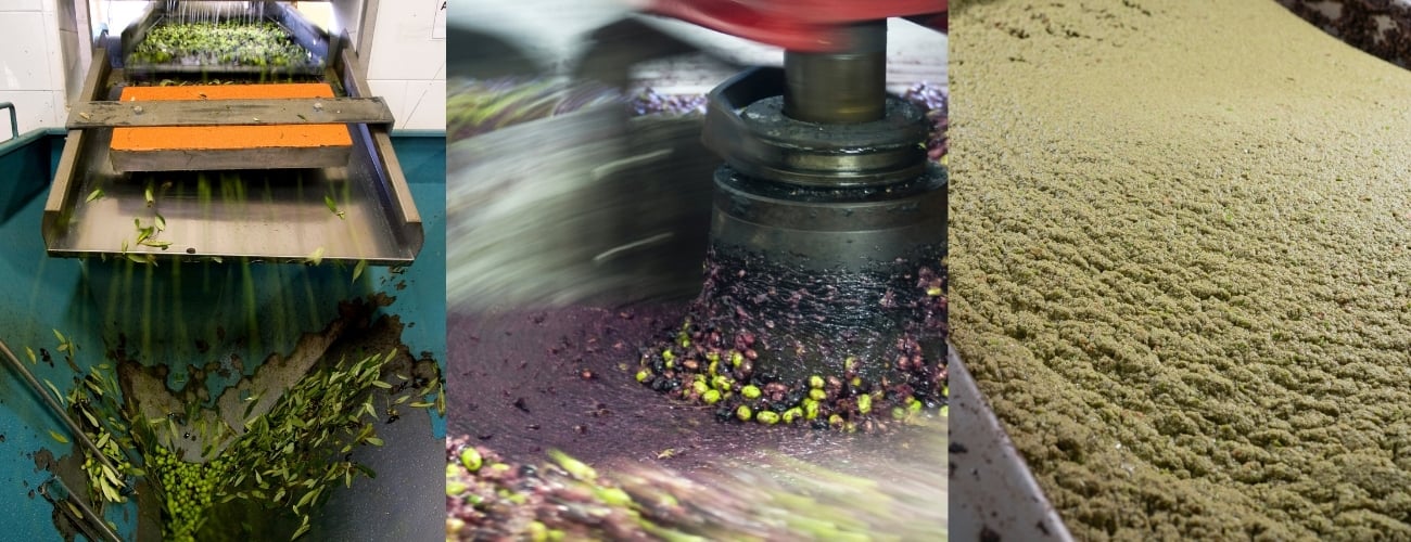 Olive crush production - 3 phases of grinding and paste