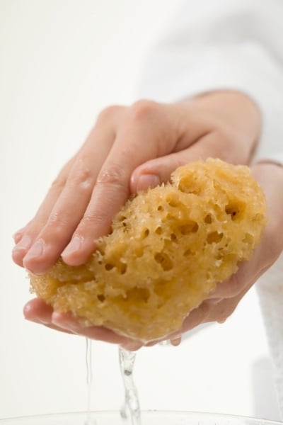 Olive Pomace Oil - water from damp sponge