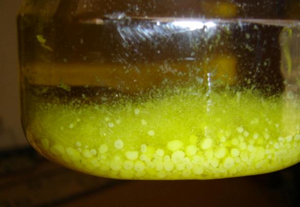 crystalized-olive-oil