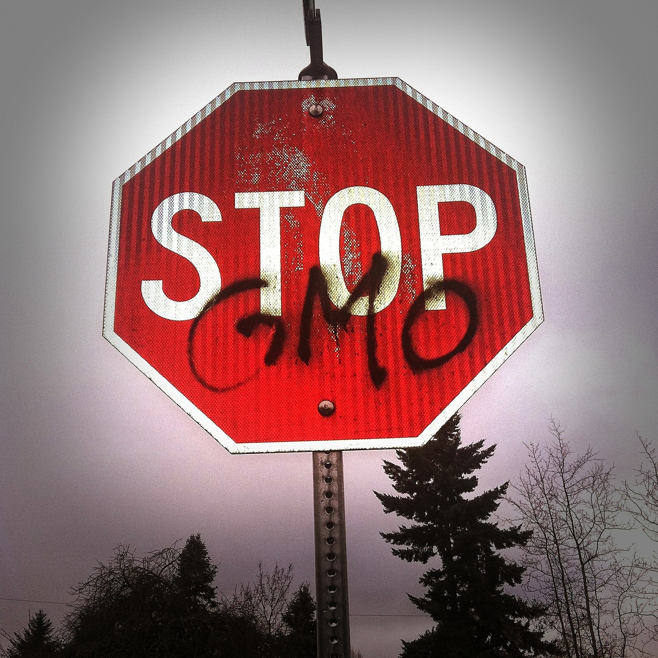Non-GMO foods 