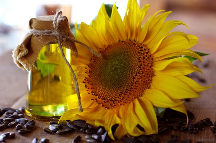 Organic Sunflower Oil