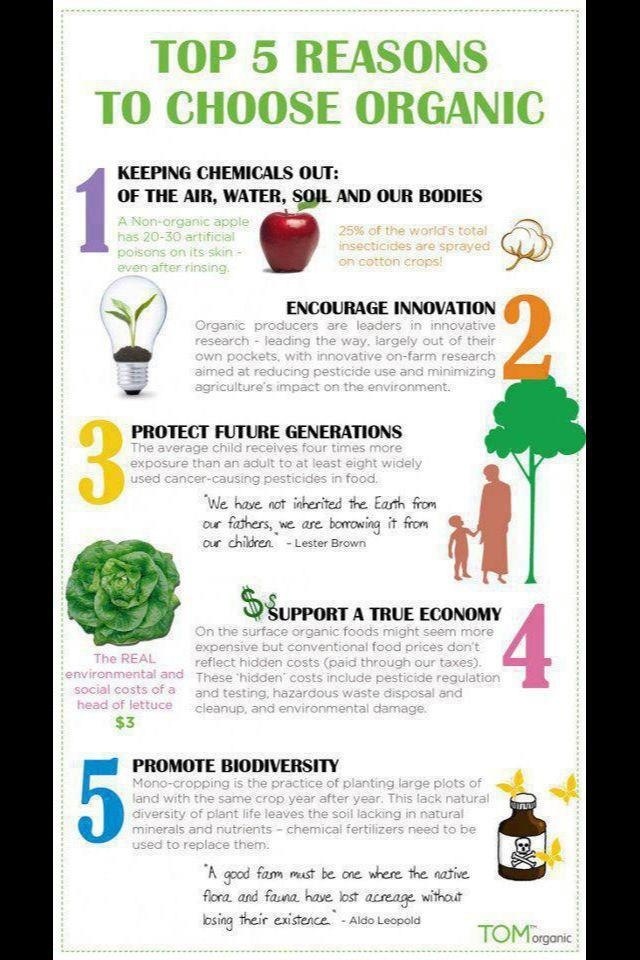 Top 5 Reasons To Choose Organic