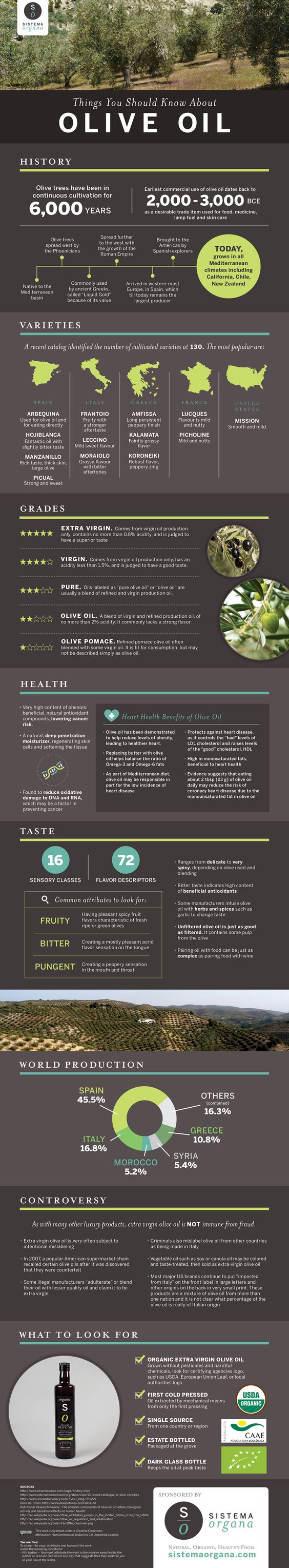 5 Infographics All About Olive Oil