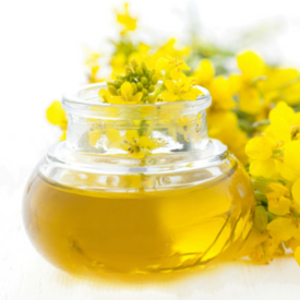 what are the different types of canola oil