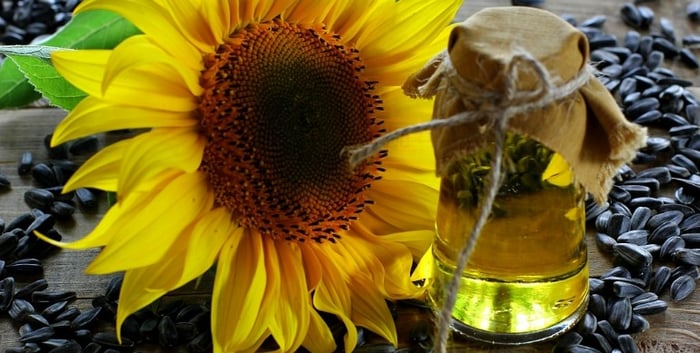 Sunflower Oil