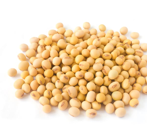 soybean 35 lb containers